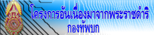 new 01